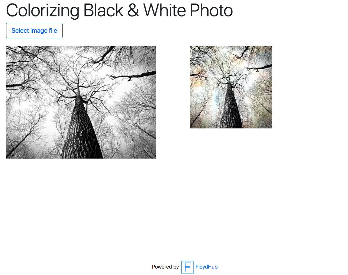 Interactive website colornet